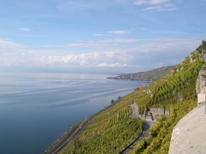 Image de la riviera